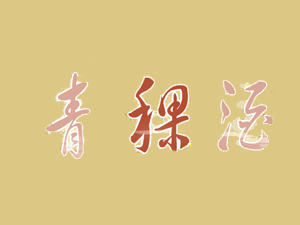 S޹˾